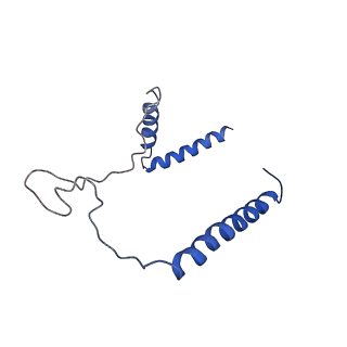 7468_6cfw_I_v1-2
cryoEM structure of a respiratory membrane-bound hydrogenase