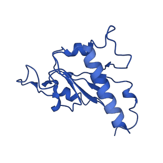 7468_6cfw_J_v1-2
cryoEM structure of a respiratory membrane-bound hydrogenase