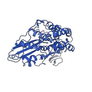 7468_6cfw_L_v1-2
cryoEM structure of a respiratory membrane-bound hydrogenase