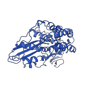 7468_6cfw_L_v1-3
cryoEM structure of a respiratory membrane-bound hydrogenase