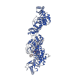 16630_8cg4_B_v1-0
The organise full-length structure of the fungal non-reducing polyketide synthase (NR-PKS) PksA