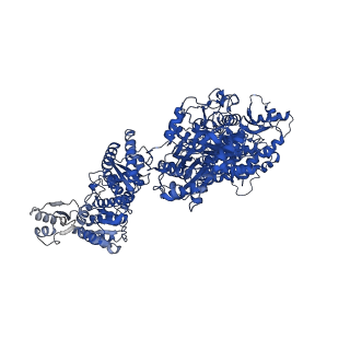 16631_8cg5_A_v1-0
The ACP crosslinked to the KS of the cercosporin fungal non-reducing polyketide synthase (NR-PKS) CTB1 (SAT-KS:ACP-MAT)