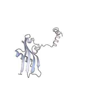 16634_8cg8_0_v1-7
Translocation intermediate 3 (TI-3) of 80S S. cerevisiae ribosome with ligands and eEF2 in the presence of sordarin