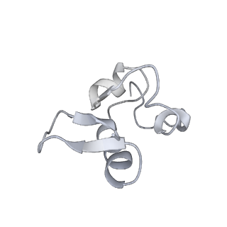 16634_8cg8_1_v1-7
Translocation intermediate 3 (TI-3) of 80S S. cerevisiae ribosome with ligands and eEF2 in the presence of sordarin