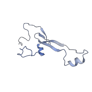 16634_8cg8_2_v1-7
Translocation intermediate 3 (TI-3) of 80S S. cerevisiae ribosome with ligands and eEF2 in the presence of sordarin