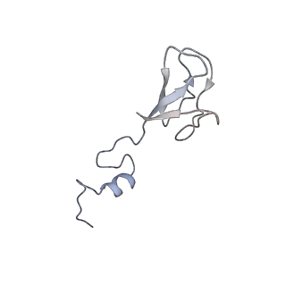 16634_8cg8_3_v1-6
Translocation intermediate 3 (TI-3) of 80S S. cerevisiae ribosome with ligands and eEF2 in the presence of sordarin