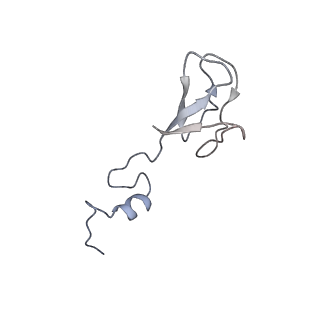 16634_8cg8_3_v1-7
Translocation intermediate 3 (TI-3) of 80S S. cerevisiae ribosome with ligands and eEF2 in the presence of sordarin