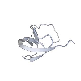 16634_8cg8_4_v1-7
Translocation intermediate 3 (TI-3) of 80S S. cerevisiae ribosome with ligands and eEF2 in the presence of sordarin