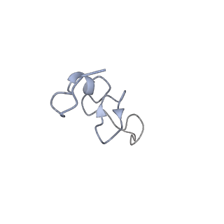 16634_8cg8_5_v1-7
Translocation intermediate 3 (TI-3) of 80S S. cerevisiae ribosome with ligands and eEF2 in the presence of sordarin