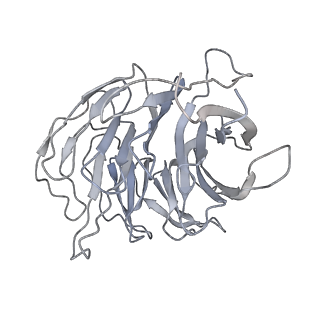 16634_8cg8_7_v1-6
Translocation intermediate 3 (TI-3) of 80S S. cerevisiae ribosome with ligands and eEF2 in the presence of sordarin