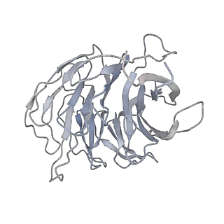 16634_8cg8_7_v1-7
Translocation intermediate 3 (TI-3) of 80S S. cerevisiae ribosome with ligands and eEF2 in the presence of sordarin