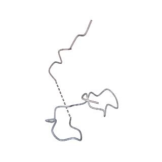 16634_8cg8_8_v1-7
Translocation intermediate 3 (TI-3) of 80S S. cerevisiae ribosome with ligands and eEF2 in the presence of sordarin