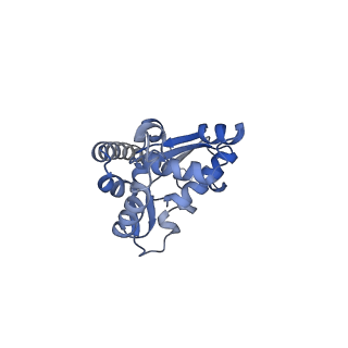 16634_8cg8_A_v1-6
Translocation intermediate 3 (TI-3) of 80S S. cerevisiae ribosome with ligands and eEF2 in the presence of sordarin