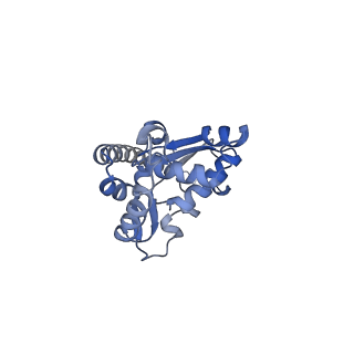 16634_8cg8_A_v1-7
Translocation intermediate 3 (TI-3) of 80S S. cerevisiae ribosome with ligands and eEF2 in the presence of sordarin