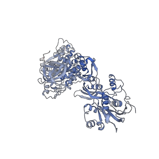 16634_8cg8_Aa_v1-6
Translocation intermediate 3 (TI-3) of 80S S. cerevisiae ribosome with ligands and eEF2 in the presence of sordarin