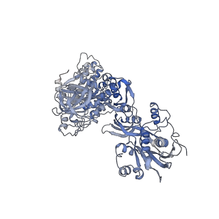 16634_8cg8_Aa_v1-7
Translocation intermediate 3 (TI-3) of 80S S. cerevisiae ribosome with ligands and eEF2 in the presence of sordarin