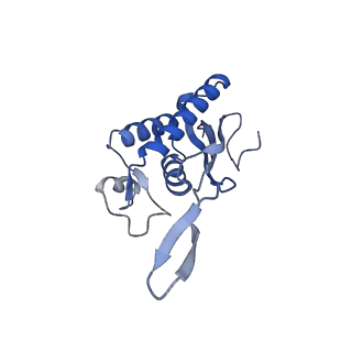16634_8cg8_B_v1-6
Translocation intermediate 3 (TI-3) of 80S S. cerevisiae ribosome with ligands and eEF2 in the presence of sordarin