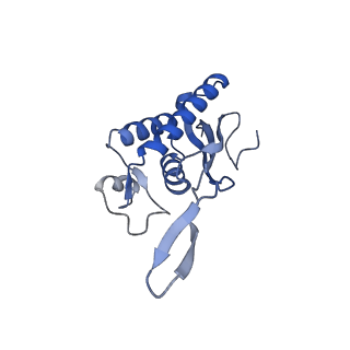 16634_8cg8_B_v1-7
Translocation intermediate 3 (TI-3) of 80S S. cerevisiae ribosome with ligands and eEF2 in the presence of sordarin