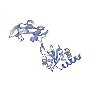 16634_8cg8_DD_v1-7
Translocation intermediate 3 (TI-3) of 80S S. cerevisiae ribosome with ligands and eEF2 in the presence of sordarin