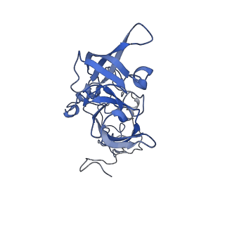 16634_8cg8_EE_v1-6
Translocation intermediate 3 (TI-3) of 80S S. cerevisiae ribosome with ligands and eEF2 in the presence of sordarin