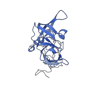 16634_8cg8_EE_v1-7
Translocation intermediate 3 (TI-3) of 80S S. cerevisiae ribosome with ligands and eEF2 in the presence of sordarin