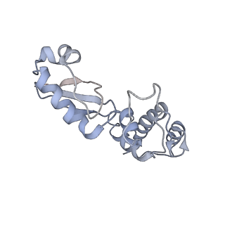 16634_8cg8_Ee_v1-7
Translocation intermediate 3 (TI-3) of 80S S. cerevisiae ribosome with ligands and eEF2 in the presence of sordarin