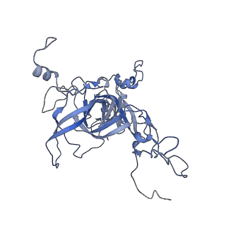 16634_8cg8_FF_v1-7
Translocation intermediate 3 (TI-3) of 80S S. cerevisiae ribosome with ligands and eEF2 in the presence of sordarin