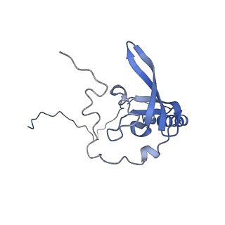 16634_8cg8_F_v1-6
Translocation intermediate 3 (TI-3) of 80S S. cerevisiae ribosome with ligands and eEF2 in the presence of sordarin