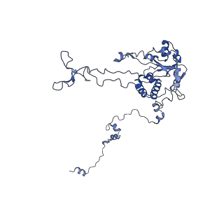 16634_8cg8_GG_v1-6
Translocation intermediate 3 (TI-3) of 80S S. cerevisiae ribosome with ligands and eEF2 in the presence of sordarin