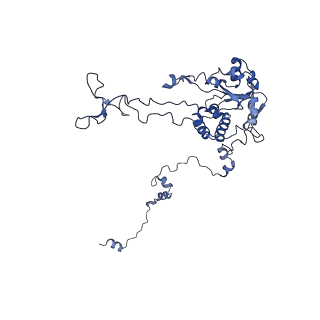 16634_8cg8_GG_v1-7
Translocation intermediate 3 (TI-3) of 80S S. cerevisiae ribosome with ligands and eEF2 in the presence of sordarin