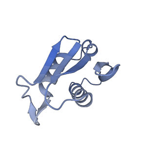 16634_8cg8_G_v1-7
Translocation intermediate 3 (TI-3) of 80S S. cerevisiae ribosome with ligands and eEF2 in the presence of sordarin