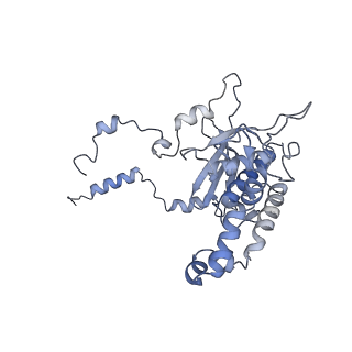 16634_8cg8_HH_v1-6
Translocation intermediate 3 (TI-3) of 80S S. cerevisiae ribosome with ligands and eEF2 in the presence of sordarin