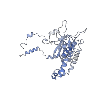 16634_8cg8_HH_v1-7
Translocation intermediate 3 (TI-3) of 80S S. cerevisiae ribosome with ligands and eEF2 in the presence of sordarin