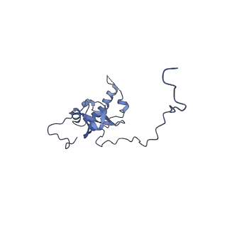 16634_8cg8_II_v1-6
Translocation intermediate 3 (TI-3) of 80S S. cerevisiae ribosome with ligands and eEF2 in the presence of sordarin