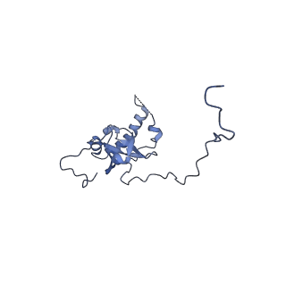 16634_8cg8_II_v1-7
Translocation intermediate 3 (TI-3) of 80S S. cerevisiae ribosome with ligands and eEF2 in the presence of sordarin