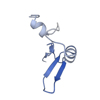 16634_8cg8_I_v1-7
Translocation intermediate 3 (TI-3) of 80S S. cerevisiae ribosome with ligands and eEF2 in the presence of sordarin