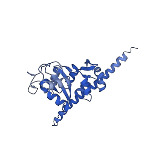 16634_8cg8_JJ_v1-6
Translocation intermediate 3 (TI-3) of 80S S. cerevisiae ribosome with ligands and eEF2 in the presence of sordarin