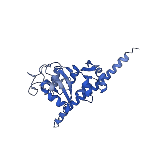 16634_8cg8_JJ_v1-7
Translocation intermediate 3 (TI-3) of 80S S. cerevisiae ribosome with ligands and eEF2 in the presence of sordarin