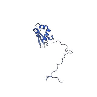 16634_8cg8_J_v1-7
Translocation intermediate 3 (TI-3) of 80S S. cerevisiae ribosome with ligands and eEF2 in the presence of sordarin