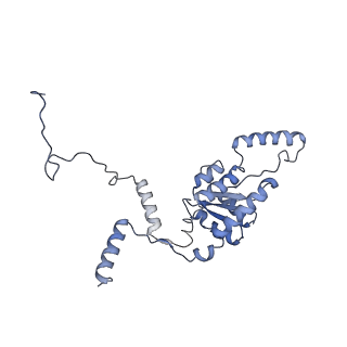 16634_8cg8_KK_v1-6
Translocation intermediate 3 (TI-3) of 80S S. cerevisiae ribosome with ligands and eEF2 in the presence of sordarin