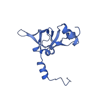 16634_8cg8_K_v1-6
Translocation intermediate 3 (TI-3) of 80S S. cerevisiae ribosome with ligands and eEF2 in the presence of sordarin