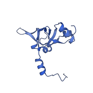 16634_8cg8_K_v1-7
Translocation intermediate 3 (TI-3) of 80S S. cerevisiae ribosome with ligands and eEF2 in the presence of sordarin