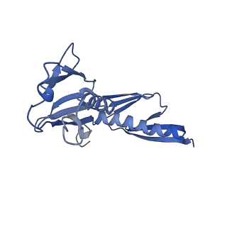 16634_8cg8_LL_v1-7
Translocation intermediate 3 (TI-3) of 80S S. cerevisiae ribosome with ligands and eEF2 in the presence of sordarin