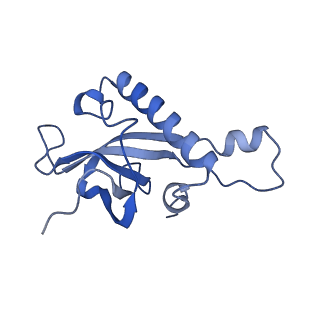 16634_8cg8_L_v1-7
Translocation intermediate 3 (TI-3) of 80S S. cerevisiae ribosome with ligands and eEF2 in the presence of sordarin