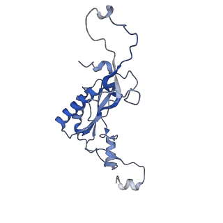 16634_8cg8_MM_v1-7
Translocation intermediate 3 (TI-3) of 80S S. cerevisiae ribosome with ligands and eEF2 in the presence of sordarin