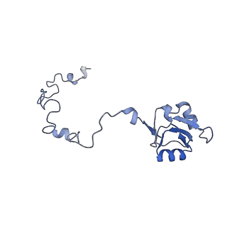 16634_8cg8_M_v1-7
Translocation intermediate 3 (TI-3) of 80S S. cerevisiae ribosome with ligands and eEF2 in the presence of sordarin