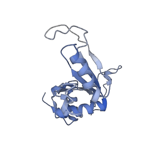 16634_8cg8_NN_v1-6
Translocation intermediate 3 (TI-3) of 80S S. cerevisiae ribosome with ligands and eEF2 in the presence of sordarin