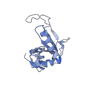 16634_8cg8_NN_v1-7
Translocation intermediate 3 (TI-3) of 80S S. cerevisiae ribosome with ligands and eEF2 in the presence of sordarin