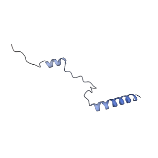 16634_8cg8_N_v1-7
Translocation intermediate 3 (TI-3) of 80S S. cerevisiae ribosome with ligands and eEF2 in the presence of sordarin