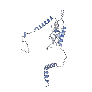 16634_8cg8_OO_v1-7
Translocation intermediate 3 (TI-3) of 80S S. cerevisiae ribosome with ligands and eEF2 in the presence of sordarin